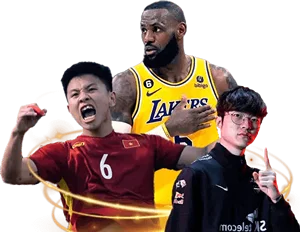 p7bet sport